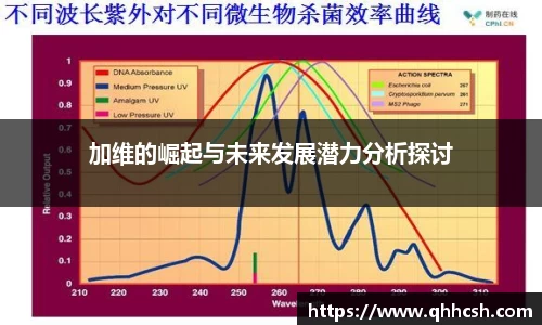 加维的崛起与未来发展潜力分析探讨